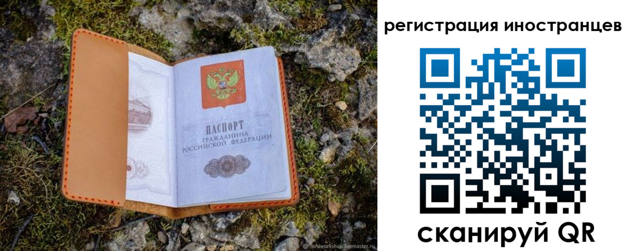 прописка паспорт в Бийске